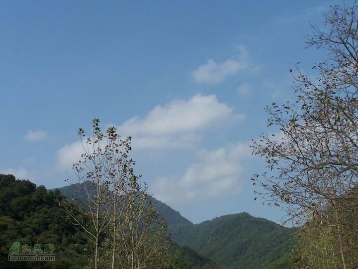 2009年国庆单车青木川100_2686