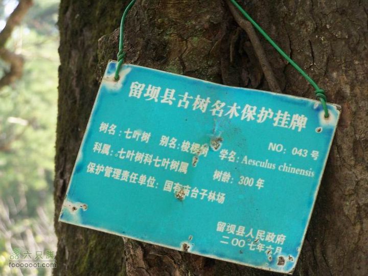 2009年国庆单车青木川100_2694