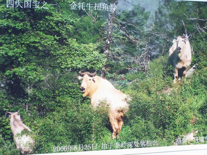 2009年国庆单车青木川100_2739