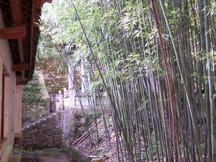 2009年国庆单车青木川100_2741