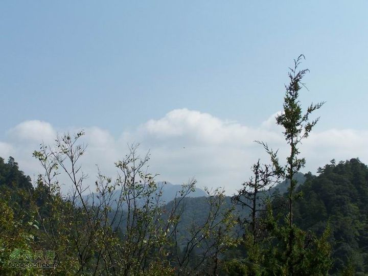 2009年国庆单车青木川100_2749