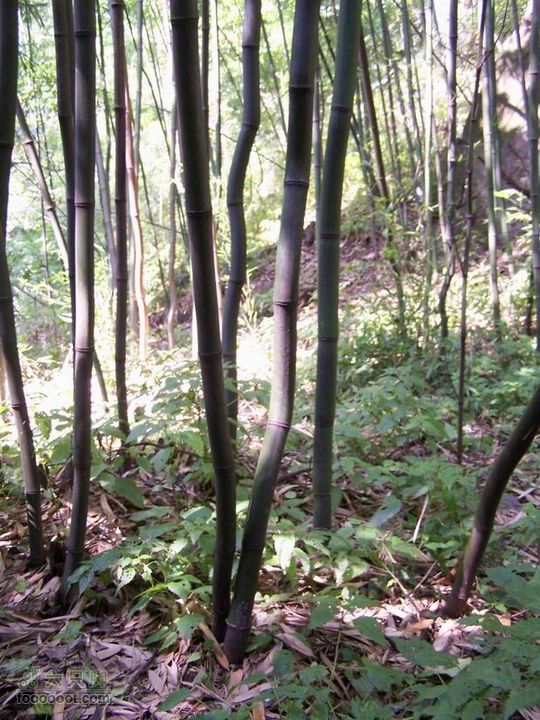 2009年国庆单车青木川100_2758