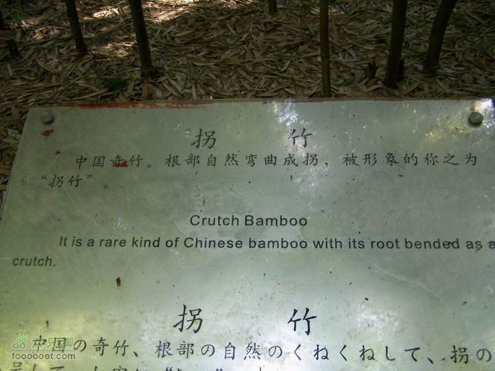 2009年国庆单车青木川100_2759