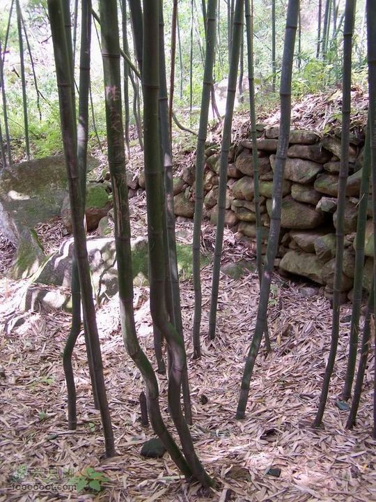 2009年国庆单车青木川100_2761