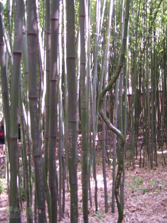 2009年国庆单车青木川100_2763