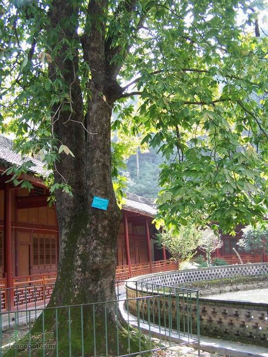 2009年国庆单车青木川100_2767