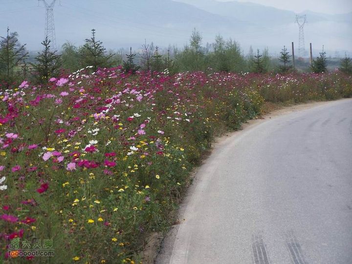 2009年国庆单车青木川100_2792