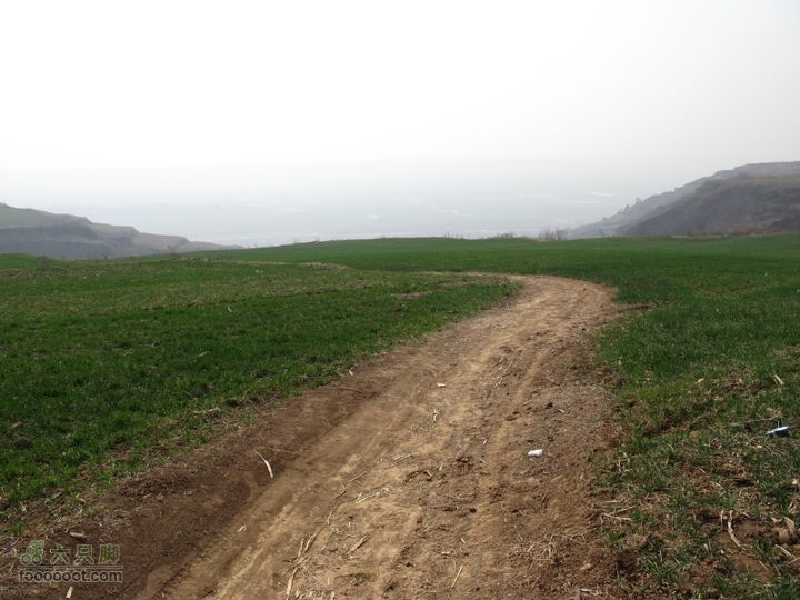 2011-3-12独骑白鹿塬IMG_0678