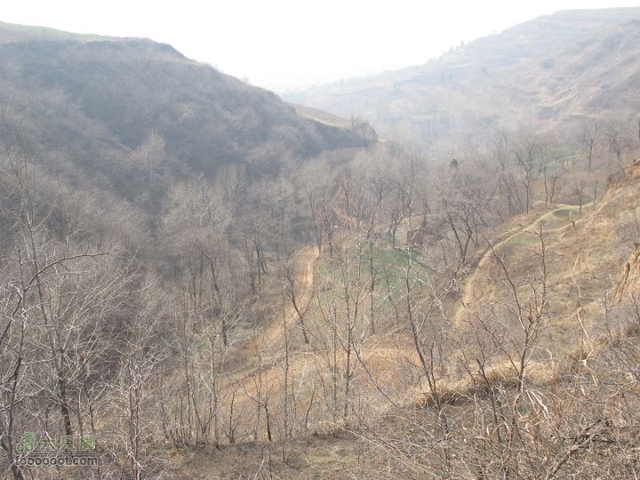 2011-3-12独骑白鹿塬IMG_0682