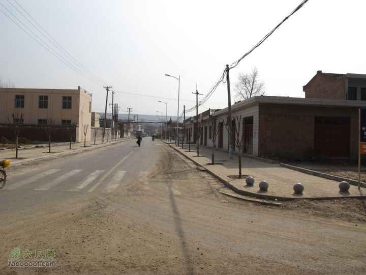 2011-3-12独骑白鹿塬IMG_0701
