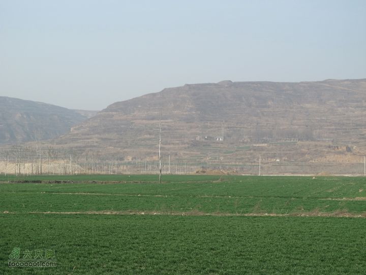 2011-3-12独骑白鹿塬就是从这个塬下来的