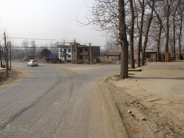 2011-3-12独骑白鹿塬正道