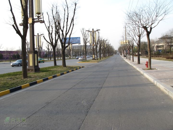 2011-3-12独骑白鹿塬IMG_0729