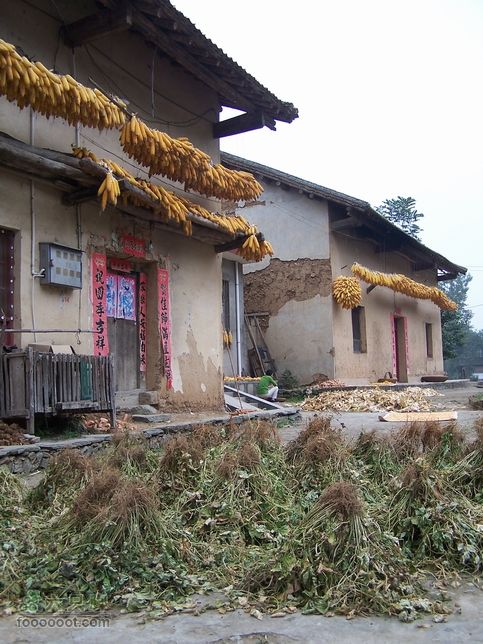 2007年国庆环东部秦岭100_6579