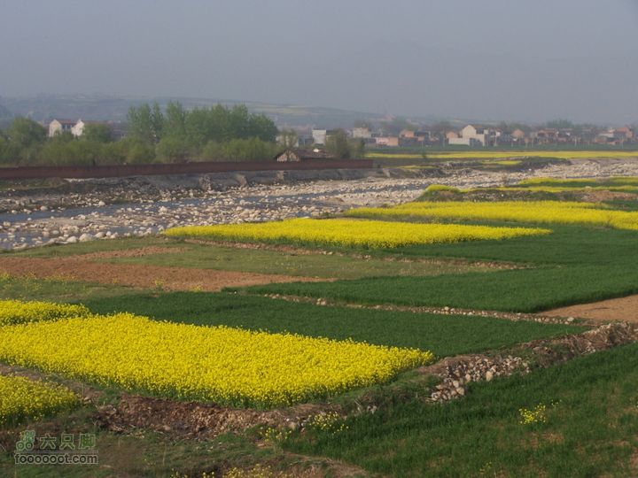 2008.4.4临潼-蓝田骑行100_8198