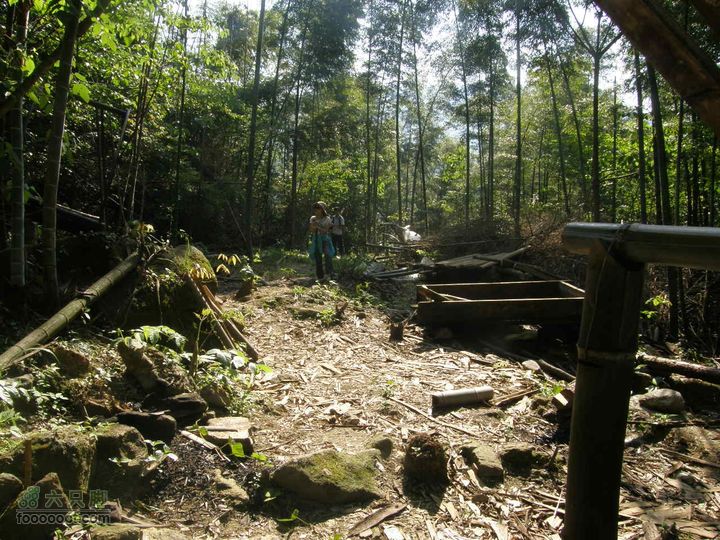溯溪明月山十里峡后再登山P5292763