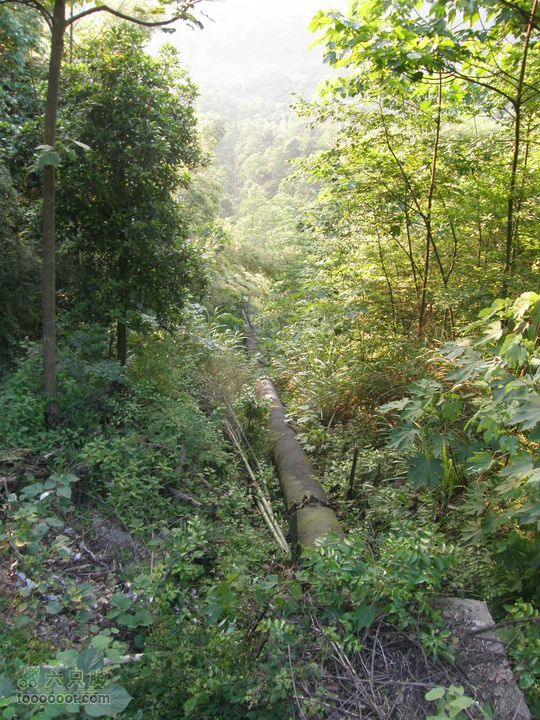 溯溪明月山十里峡后再登山P5292782