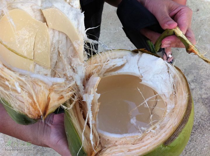 大马停泊岛－哥达巴鲁－吉隆坡之旅GPS轨迹＋照片工人把摔裂的椰子给我们吃