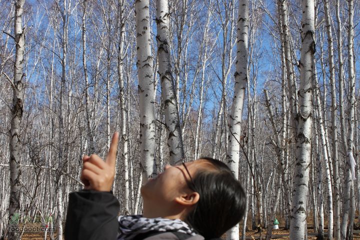 2011年十一呼伦贝尔游IMG_2705