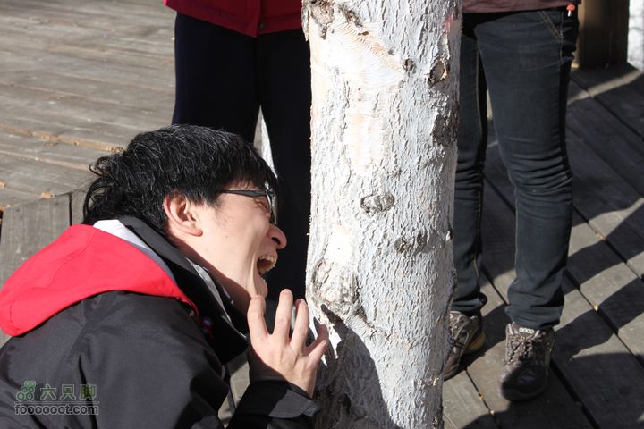2011年十一呼伦贝尔游IMG_2756