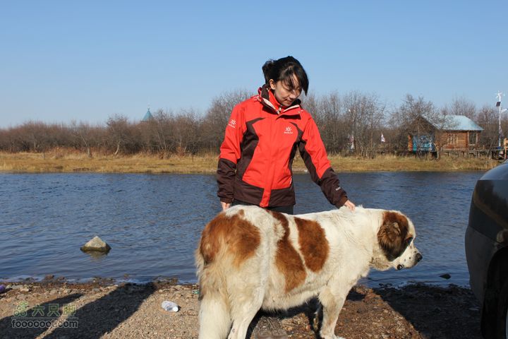 2011年十一呼伦贝尔游IMG_2822