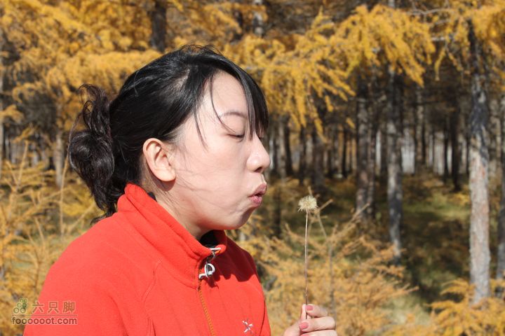 2011年十一呼伦贝尔游IMG_2993