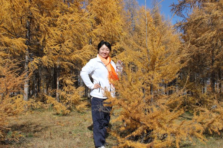2011年十一呼伦贝尔游IMG_3004