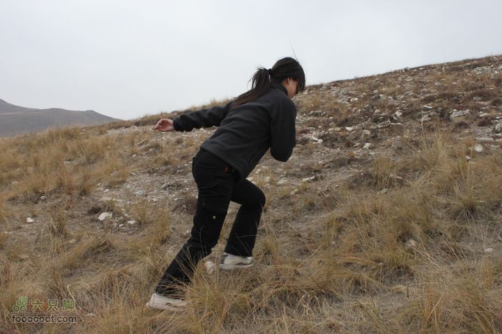2011年十一呼伦贝尔游IMG_3434