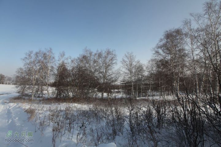 2012元旦内蒙游2010元旦游5D 342