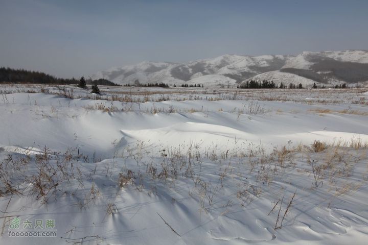 2012元旦内蒙游2010元旦游5D 372