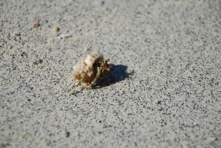 合艾过年、lipe出海、兰卡威自驾，这个春节很折腾DSC_0309_resize