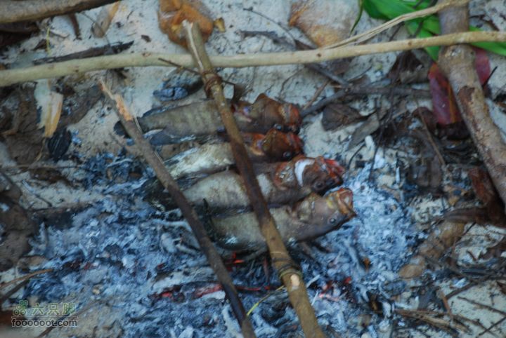 合艾过年、lipe出海、兰卡威自驾，这个春节很折腾DSC_0271_resize
