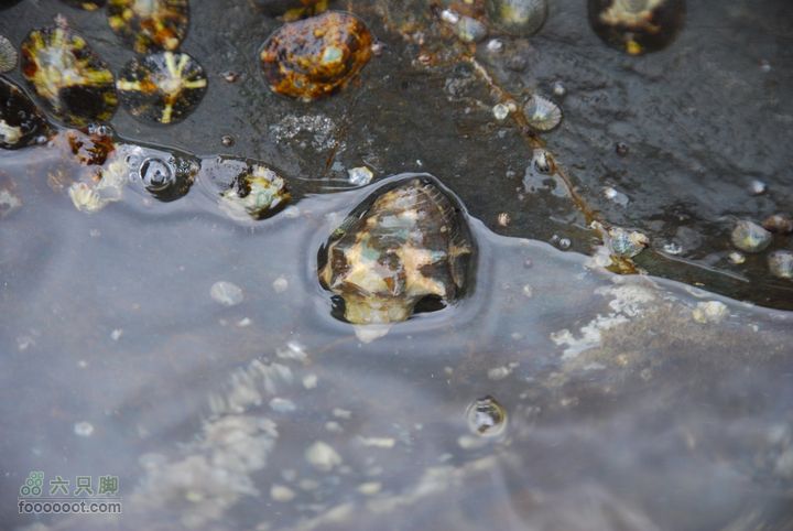合艾过年、lipe出海、兰卡威自驾，这个春节很折腾DSC_0177_resize