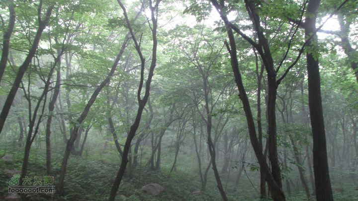 丹东凤凰山 紫阳观-烽火台-罗汉峰-将军峰-老牛背-百步紧-老虎口-箭眼-恋人石-将军泉IMG_3089
