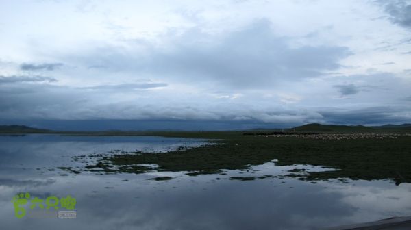 甘南行第三日-碌曲-唐克IMG_4820