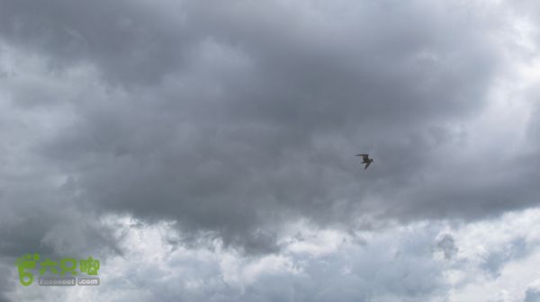 甘南行第四日，唐克-夏河IMG_5037
