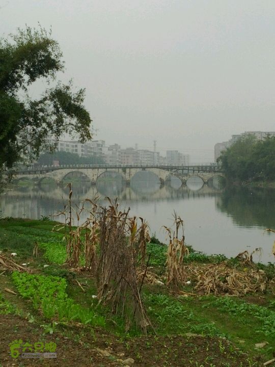 清远沙河镇穿越十里竹廊经浸潭镇到桃花源2012-12-16 11:23:47