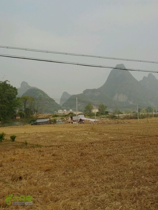 清远沙河镇穿越十里竹廊经浸潭镇到桃花源2012-12-16 13:57:14