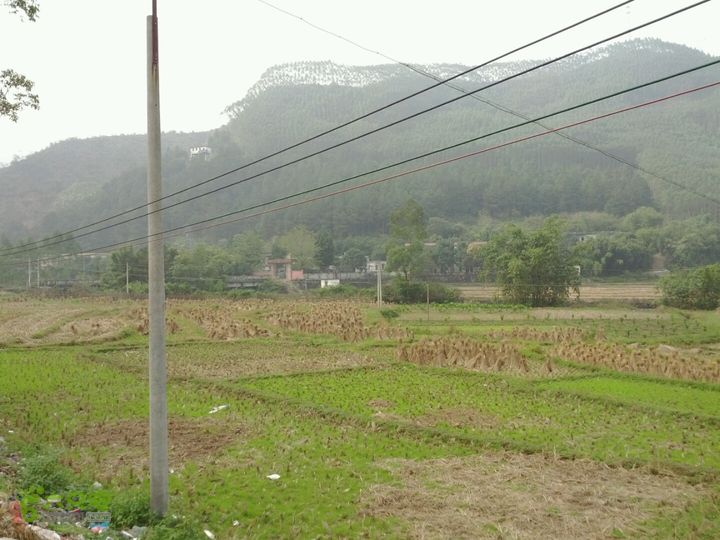 清远沙河镇穿越十里竹廊经浸潭镇到桃花源2012-12-16 14:01:07