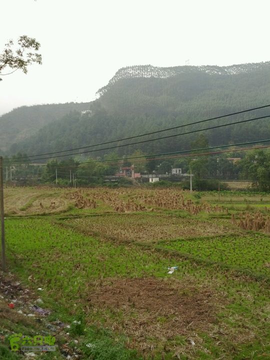 清远沙河镇穿越十里竹廊经浸潭镇到桃花源2012-12-16 14:01:24