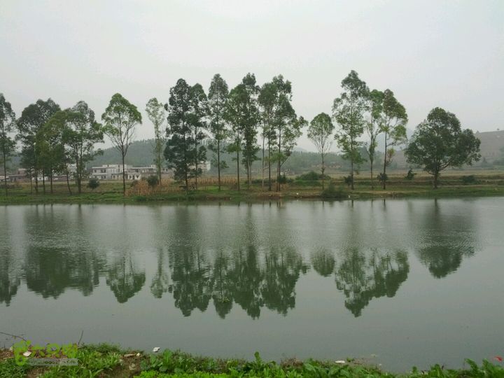 清远沙河镇穿越十里竹廊经浸潭镇到桃花源2012-12-16 11:19:27
