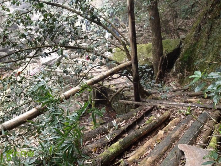 登顶宜春最高峰--太平山1736宜春太平山101