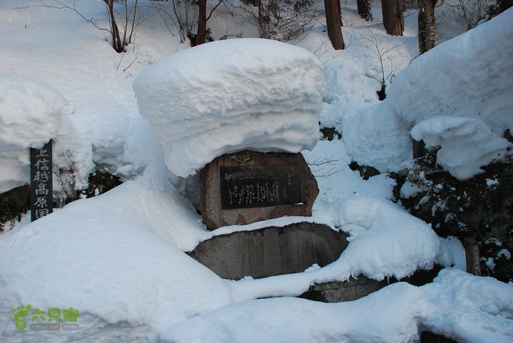 长野、轻井泽、野泽、白马滑雪之旅DSC_0578