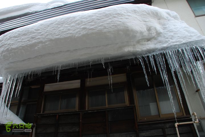 长野、轻井泽、野泽、白马滑雪之旅DSC_0705