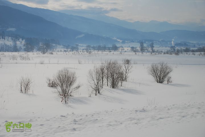 长野、轻井泽、野泽、白马滑雪之旅DSC_0741