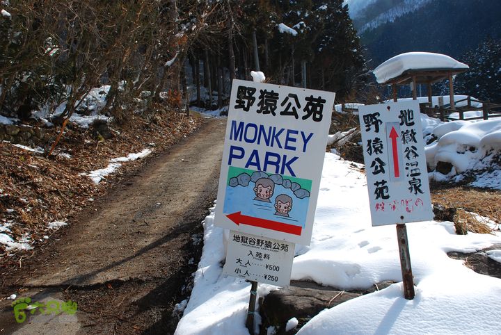 长野、轻井泽、野泽、白马滑雪之旅DSC_0778