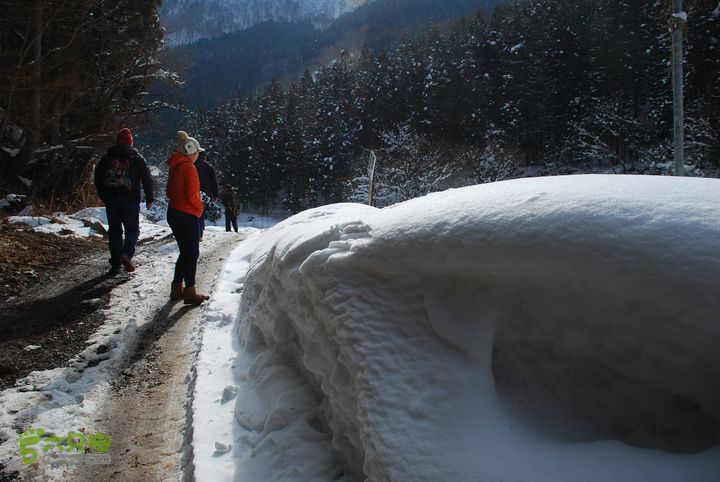 长野、轻井泽、野泽、白马滑雪之旅DSC_0782