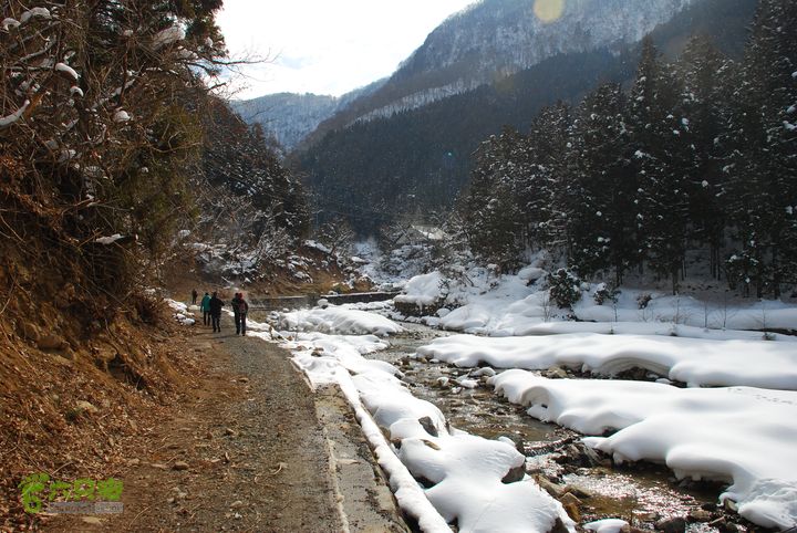 长野、轻井泽、野泽、白马滑雪之旅DSC_0785