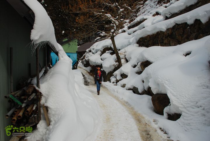 长野、轻井泽、野泽、白马滑雪之旅DSC_0799