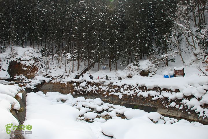 长野、轻井泽、野泽、白马滑雪之旅DSC_0807